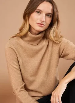 Sud Express Jumpers & Cardigans|Pull A Col Montant Camel Missy