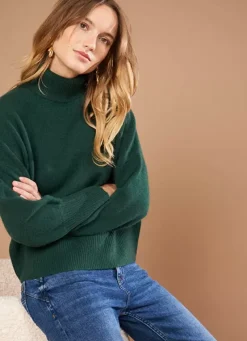 Sud Express Jumpers & Cardigans|Pull Col Montant, 100% Cachemire Basilic Monpran