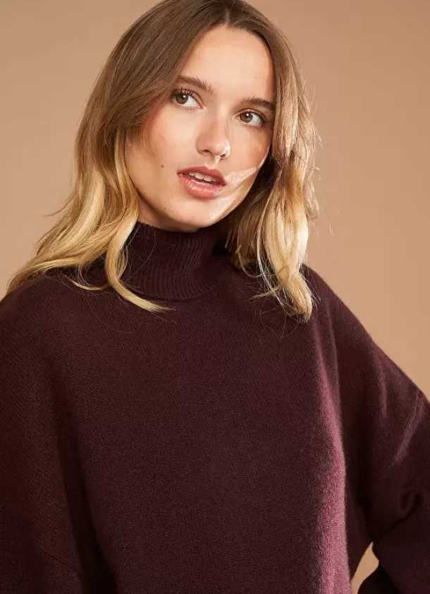 Sud Express Jumpers & Cardigans|Pull Col Montant, 100% Cachemire Marron Monpran