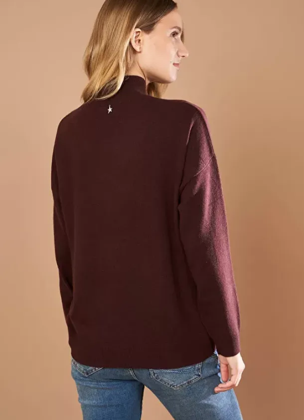 Sud Express Jumpers & Cardigans|Pull Col Montant En Cachemire Marron Myangela
