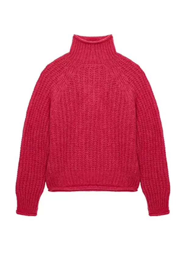Sud Express Jumpers & Cardigans|Pull Col Roule Framboise Mizabak