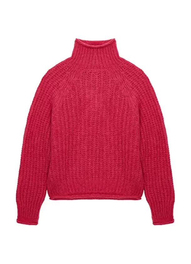Sud Express Jumpers & Cardigans|Pull Col Roule Framboise Mizabak